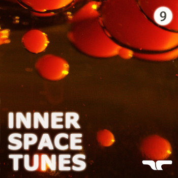 Various Artists - Inner Space Tunes 9