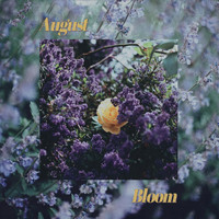 August - Bloom (Explicit)