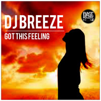DJ Breeze - Got This Feeling