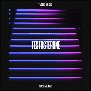 Various Artists - Testosterone