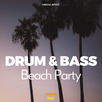 Various Artists - Drum & Bass Beach Party