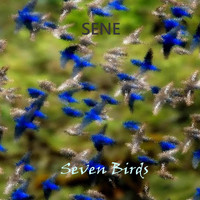 Sene - Seven Birds