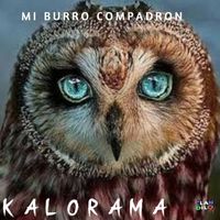 Kalorama - MI BURRO COMPADRON