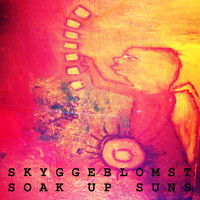Skyggeblomst - Soak up Suns