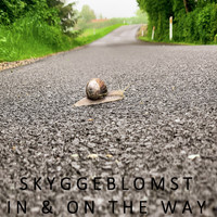 Skyggeblomst - In and on the Way