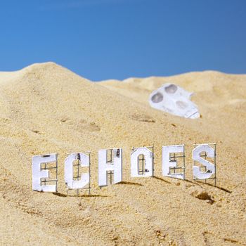 Furious Monkey House - Echoes