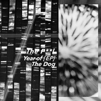 The Pool - Year of the Dog