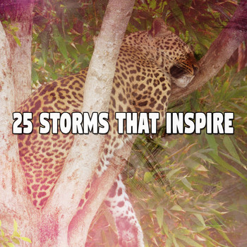 Rain Sounds Sleep - 25 Storms That Inspire