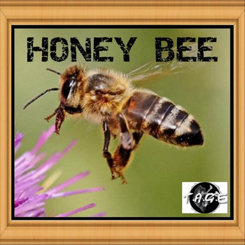 Tage - Honey Bee
