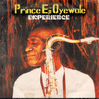 Prince Eji Oyewole - Experience