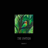 The Switch - What If