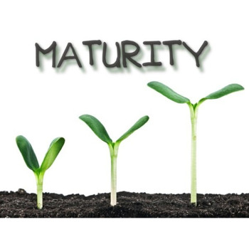 Roots - Maturity (Explicit)