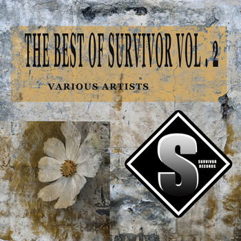 Various Artists - The Best Of Survivor, Vol. 2