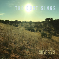 Steve Bevis - The Dust Sings