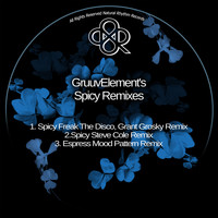 GruuvElement's - Spicy Remixes