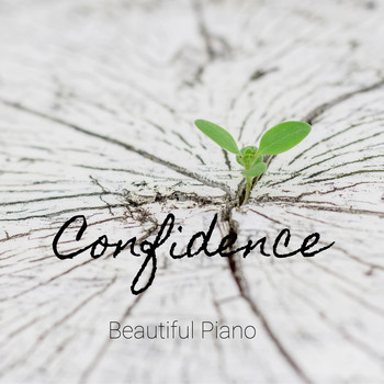 Beautiful Piano - Confidence