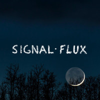 Signal Flux - Green Tailed Cat