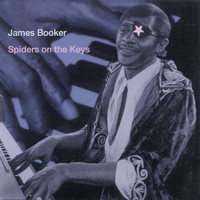 James Booker - Spiders On The Keys (Live At The Maple Leaf Bar, New Orleans, LA / 1977-1982)