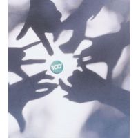 100S - A / Yasasii Lion