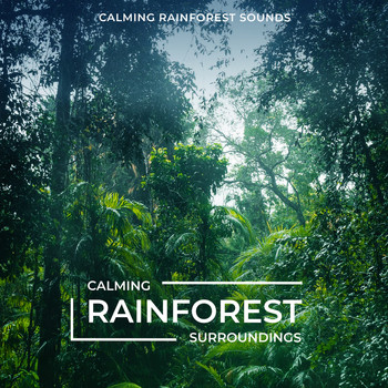 Calming Rainforest Sounds - Calming Rainforest Surroundings