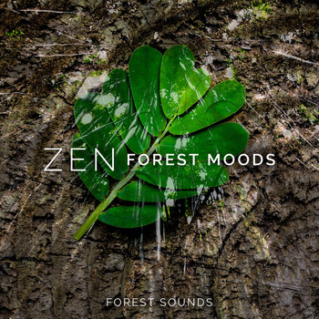 Forest Sounds - Zen Forest Moods