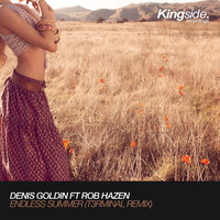 Denis Goldin - Endless Summer (T3rminal Remix)