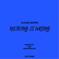 DJ Oleg Skipper - Nothing Is Wrong