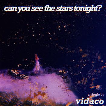 Vidaco - Can You See The Stars Tonight?