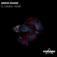 Simon Shane - El Camino