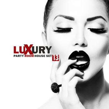 Various Artists - Luxury Party Room - House Set 13