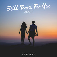 AEXCIT - Still Down For You