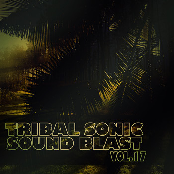 Various Artists - Tribal Sonic Soundblast,Vol.17