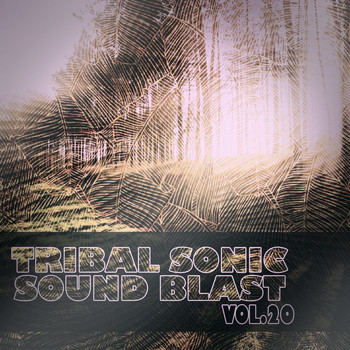 Various Artists - Tribal Sonic Soundblast,Vol.20