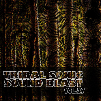 Various Artists - Tribal Sonic Soundblast,Vol.27