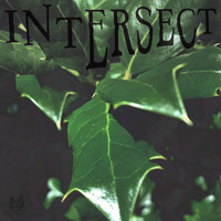 Morning Most - Intersect