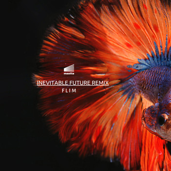 Flim - Inevitable Future Remix EP