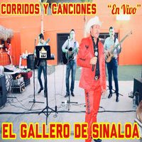 El Gallero De Sinaloa - Corridos Y Canciones  En Vivo