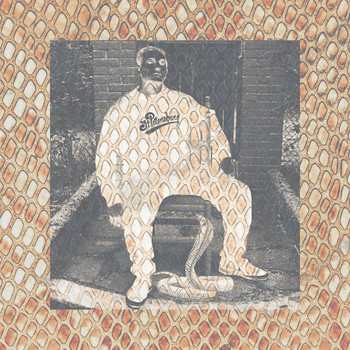 Mezo - Kobra