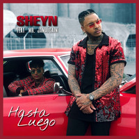 Sheyn - Hasta Luego (Edit)