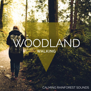 Calming Rainforest Sounds - Woodland Walking