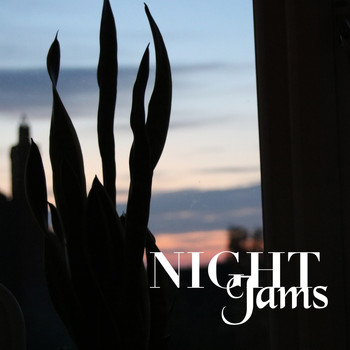 Various Artists - Night Jams