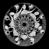 Thomas Barrandon - Mind