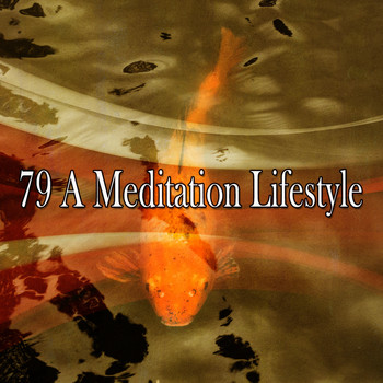 Forest Sounds - 79 A Meditation Lifestyle