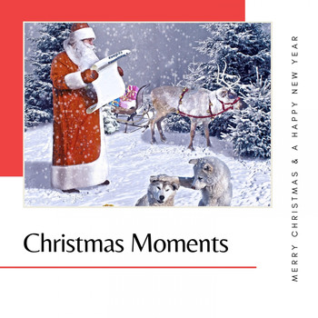 Various Artists - Christmas Moments