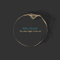 Manu Delago - The Silent Flight Of The Owl