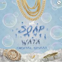 Digital Sham - Mr Soap Wata