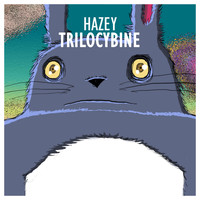 Hazey - Trilocybine
