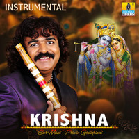 Pravin Godkhindi - Krishna