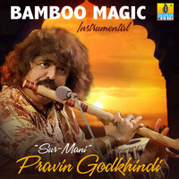Pravin Godkhindi - Bamboo Magic