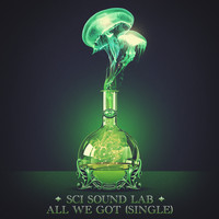 The String Cheese Incident - SCI Sound Lab: All We Got - Single